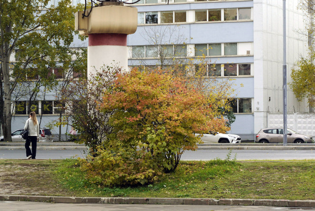 DSC7614.jpg
