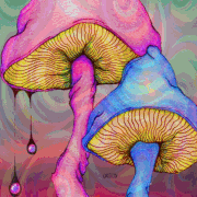 giphy 2