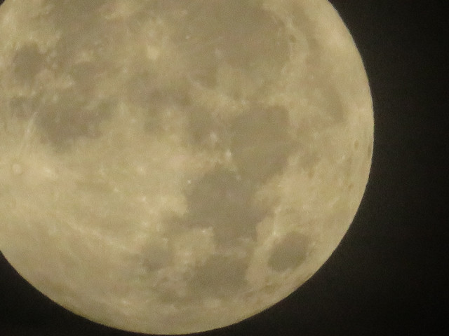 moon-023.jpg