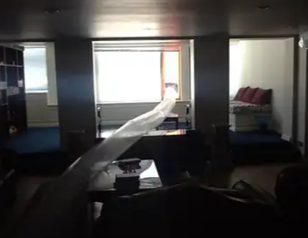 Mold-Removal-Vaughan