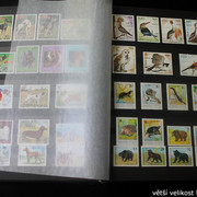 IMG-2230