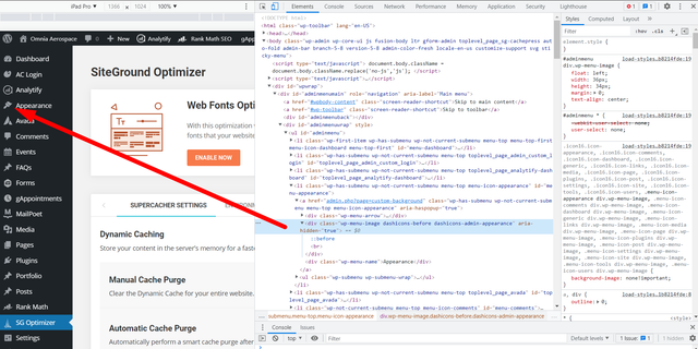 wp-appearance-dashicon