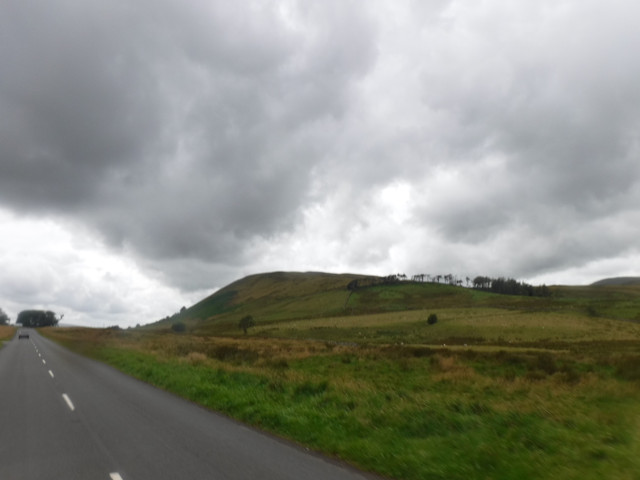 DSCF9135.jpg