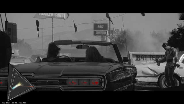 gamut-THELMA0043