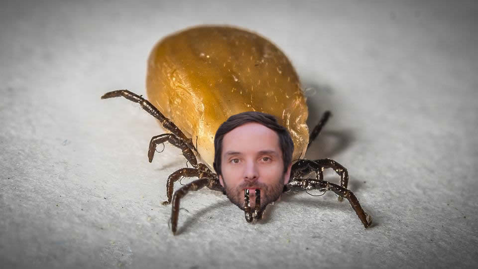 retipata.jpg