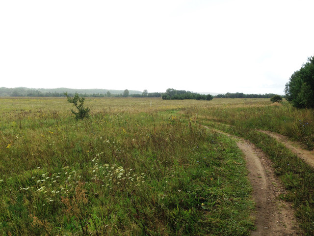 IMG-4044.jpg