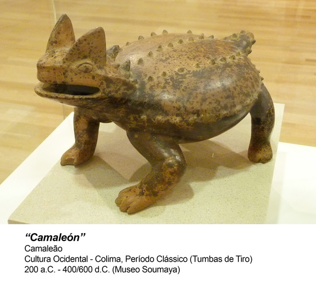 Camaleón