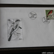 IMG-2480