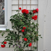 IMG-2140-edit