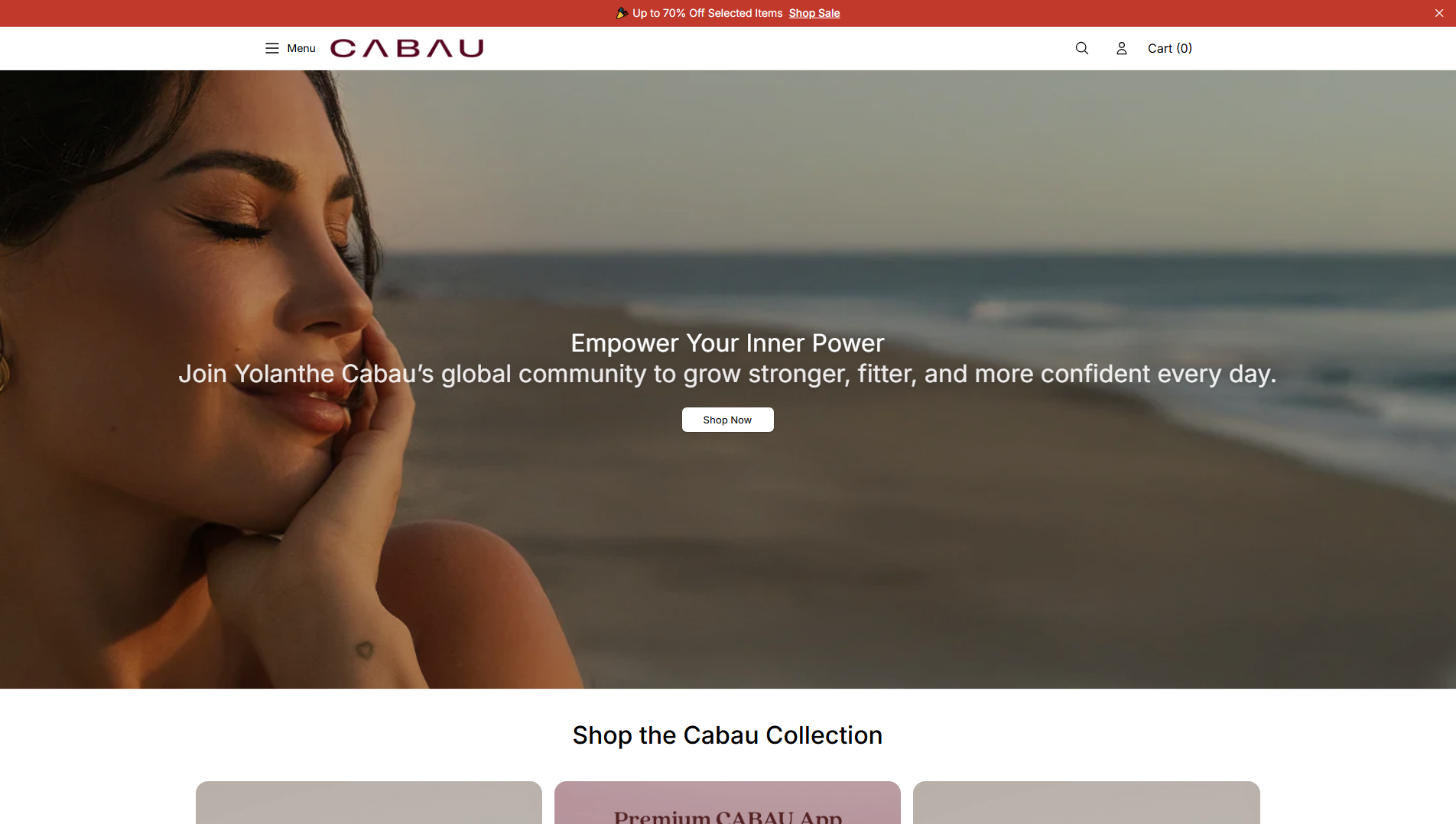 Stored capture of baurise.shop