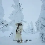藏王树冰5