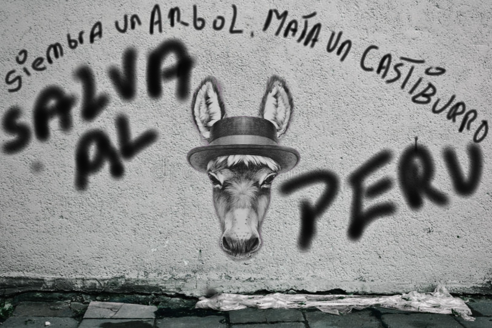 castibvrro.jpg