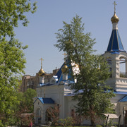 DSC3904