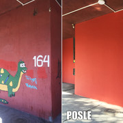 IMG-6620
