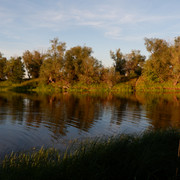 DSCF8250
