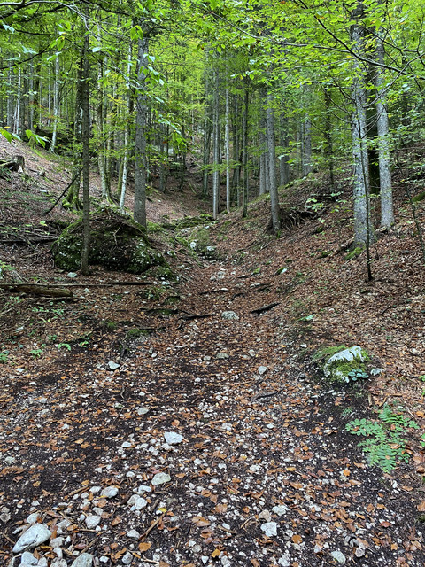 IMG-3093