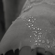 IMGP8095