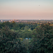 L1013818