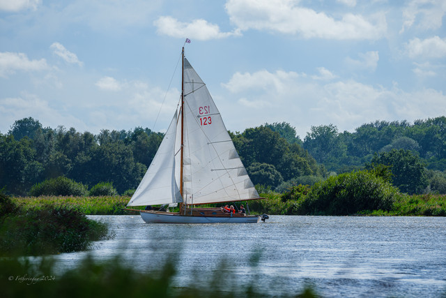 DSF7823