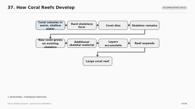 37 how coral reefs develop.png